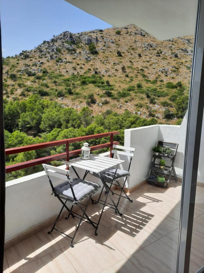Cozy Estudio "Edificio Siesta 2" Apartment Alcudia  Bagian luar foto